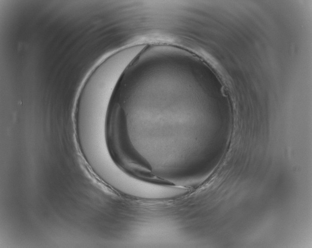 X0000076030864200609221052
