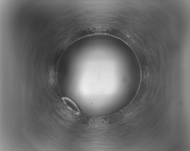 X0000076030866200609221051