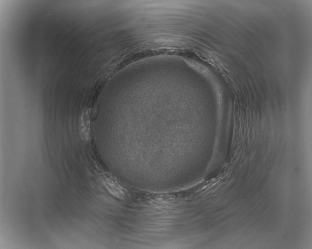 X0000076030868200609221051