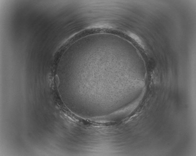 X0000076030872200609221051