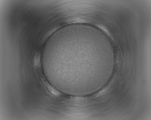 X0000076030873200609221051