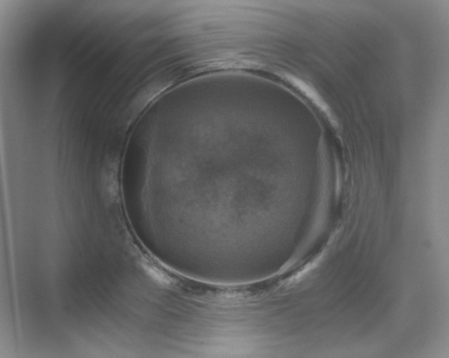 X0000076030889200609221051