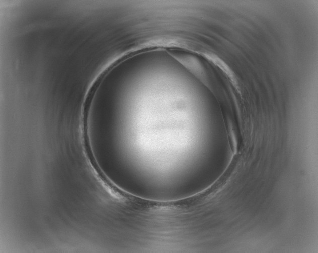 X0000076030894200609221051