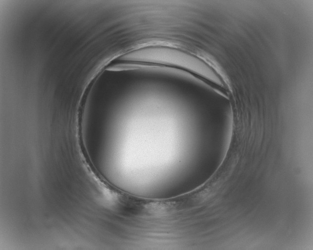 X0000076030898200609221050