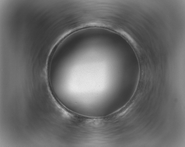 X0000076030902200609221050