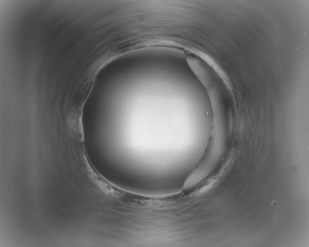 X0000076030905200609221050