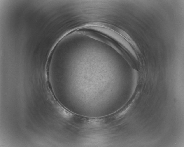 X0000076030908200609221050