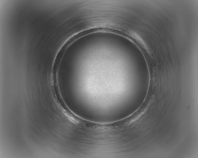 X0000076030924200609221050