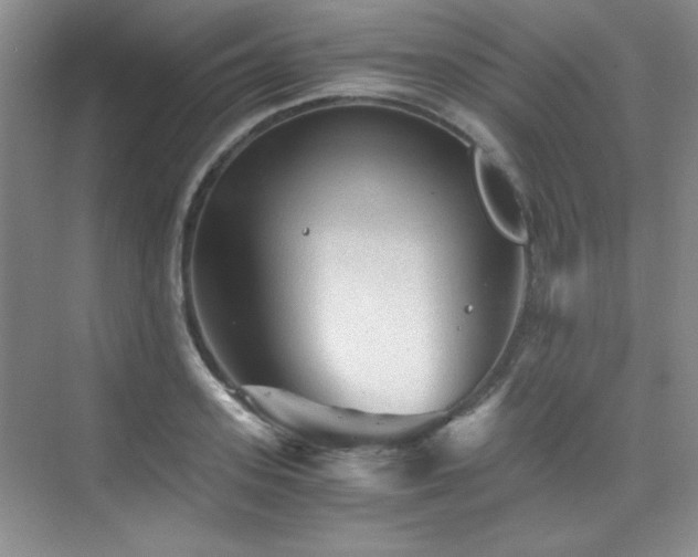 X0000076030939200609221050