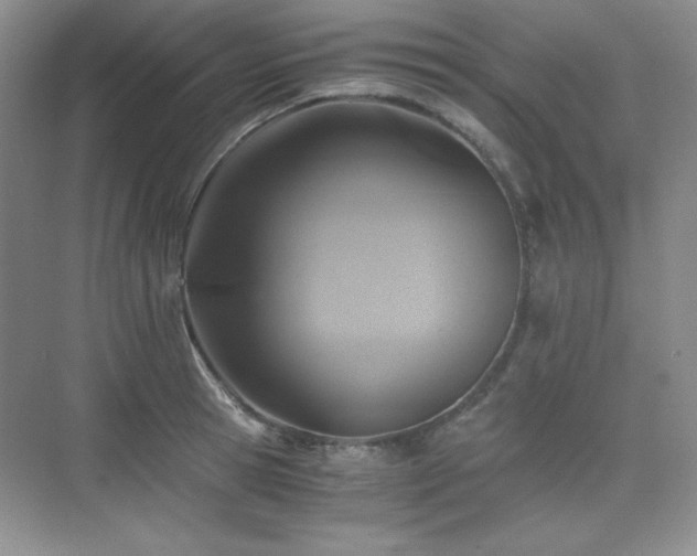 X0000076030945200609221050