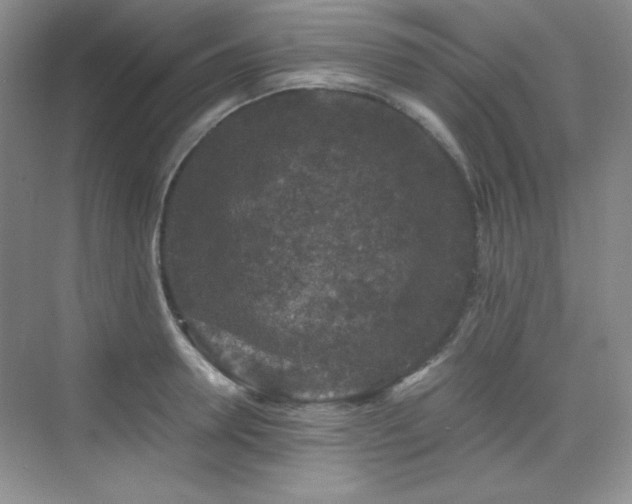 X0000076030946200609221050