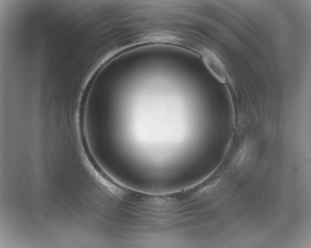 X0000076030947200609221050