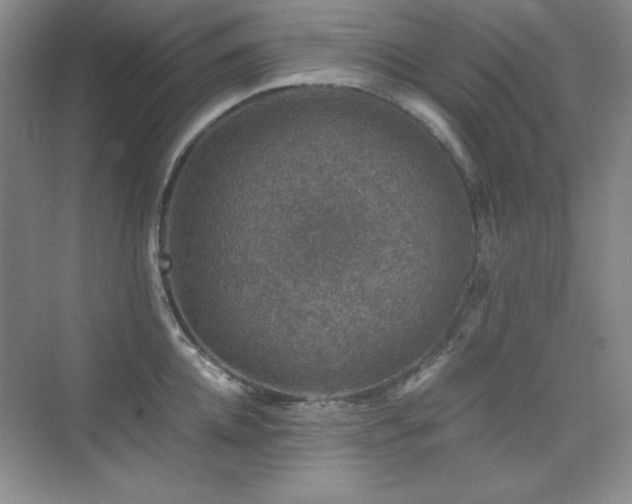X0000076030952200609221050