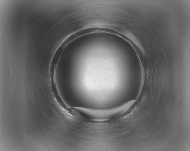 X0000076030972200609221049