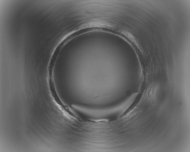 X0000076031024200609221048