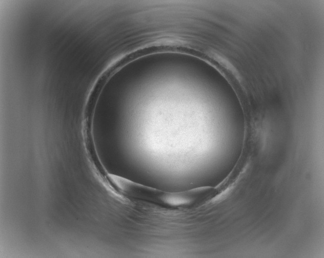X0000076031029200609221048