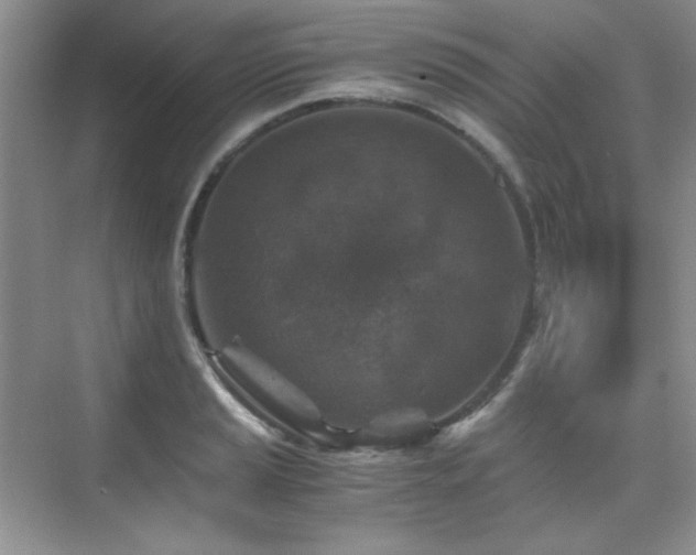 X0000076031037200609221048