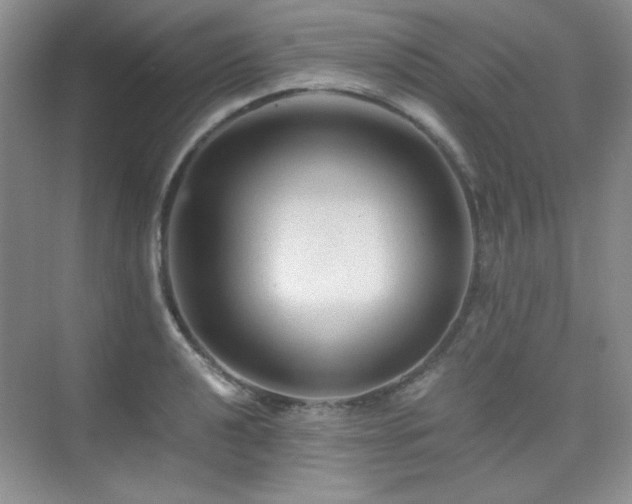 X0000076031040200609221048