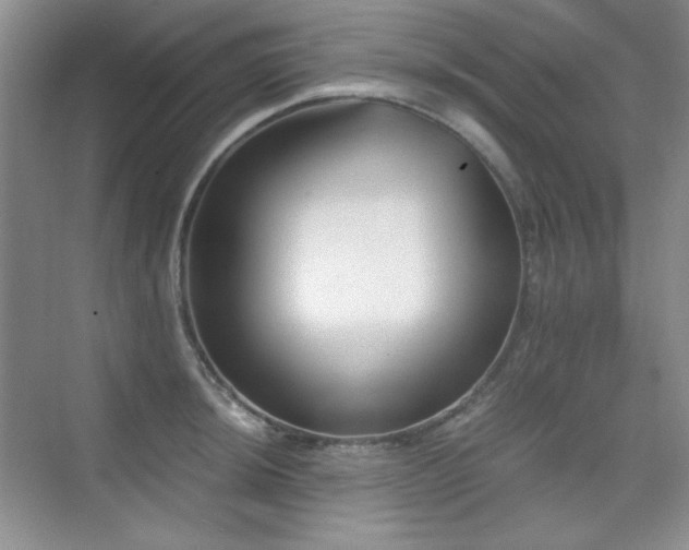 X0000076031044200609221048