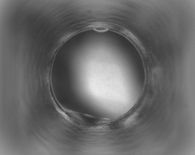 X0000076031049200609221048