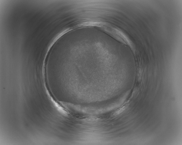 X0000076031050200609221049