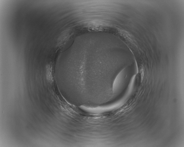 X0000076031060200609221048