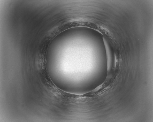 X0000076031062200609221048