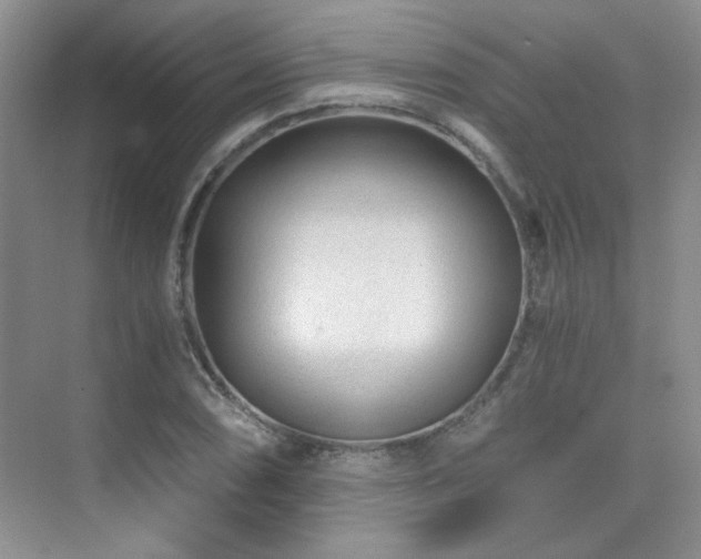 X0000076031074200609221048
