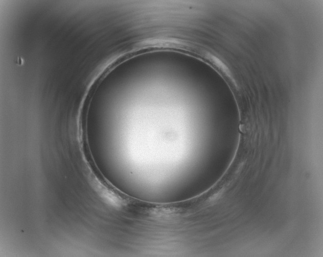X0000076031082200609221047