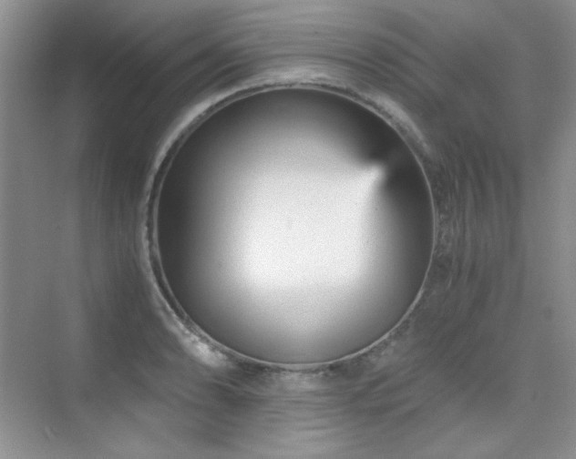 X0000076031086200609221047