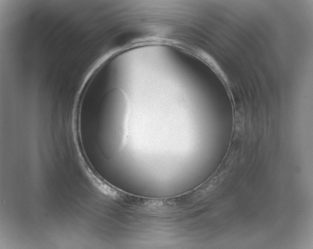 X0000076031098200609221047