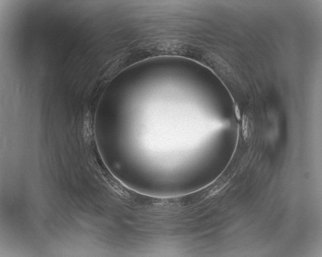 X0000076031107200609221046
