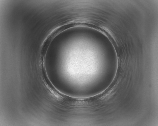 X0000076031115200609221046