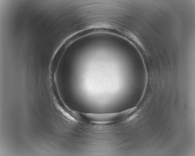 X0000076031116200609221046