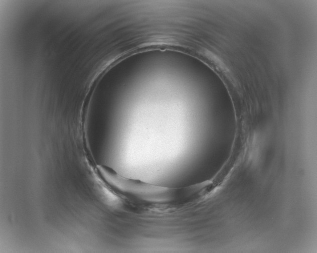 X0000076031129200609221047