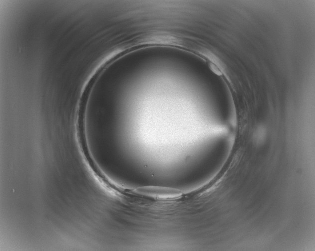 X0000076031139200609221047