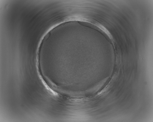 X0000076031144200609221047