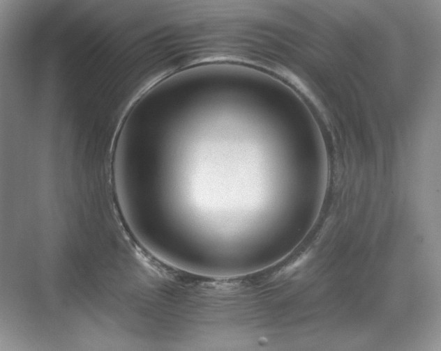 X0000076031145200609221047
