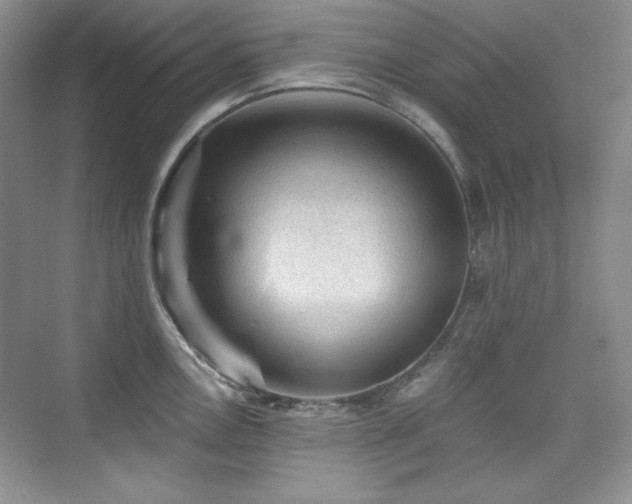 X0000076031146200609221047
