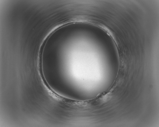 X0000076031147200609221047