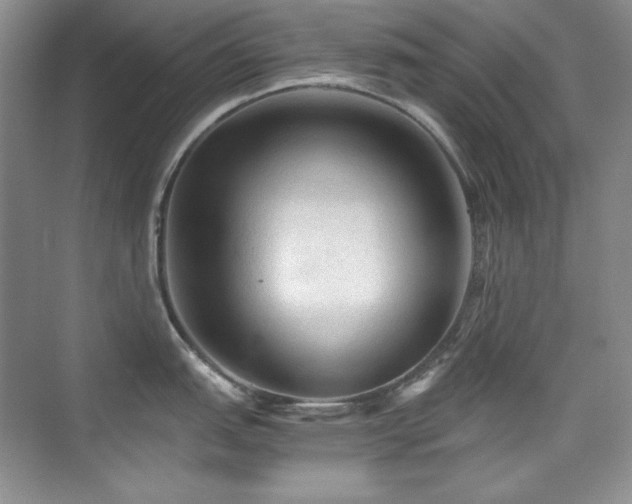 X0000076031151200609221047