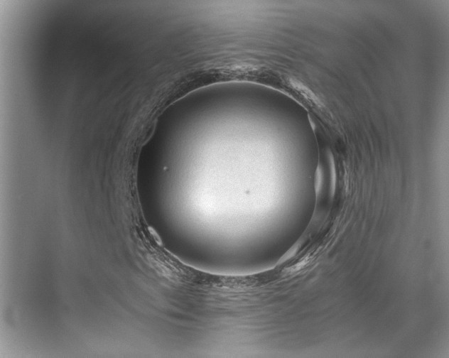 X0000076031153200609221046