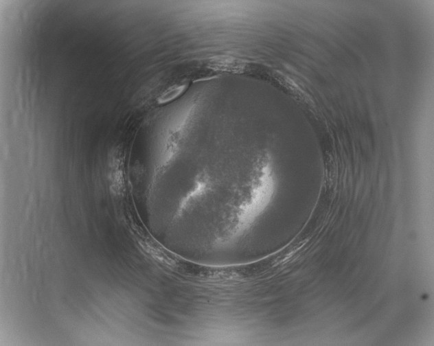 X0000076031154200609221046