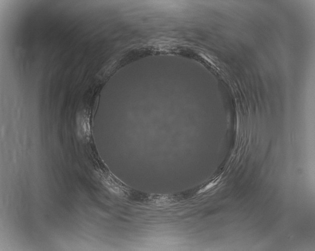 X0000076031155200609221046
