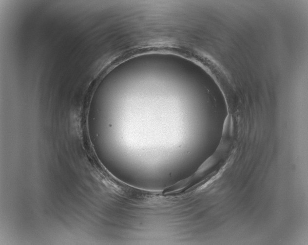X0000076031162200609221046