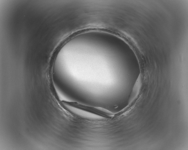 X0000076031168200609221046