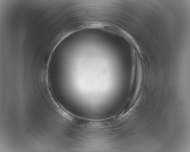 X0000076031194200609221045