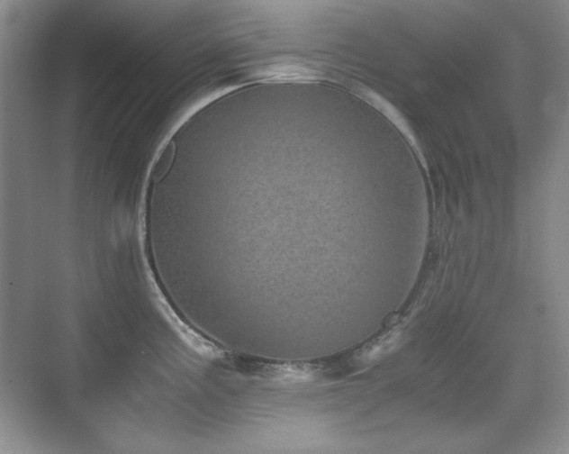 X0000076031195200609221045