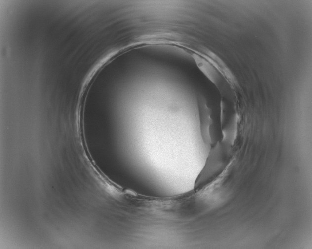 X0000076031196200609221045