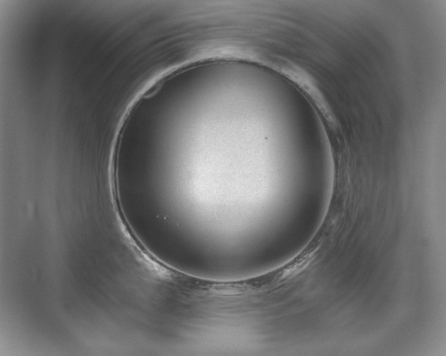 X0000076031199200609221045